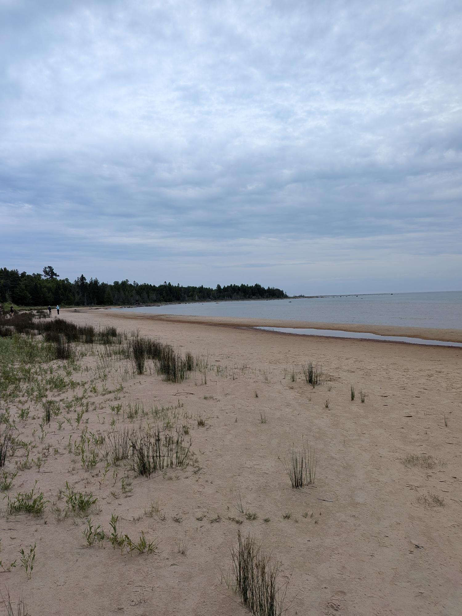 PXL_20250618_162045319.jpg